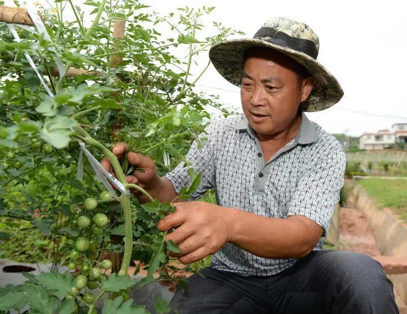 成都东部新区智慧田园,成都生态田园