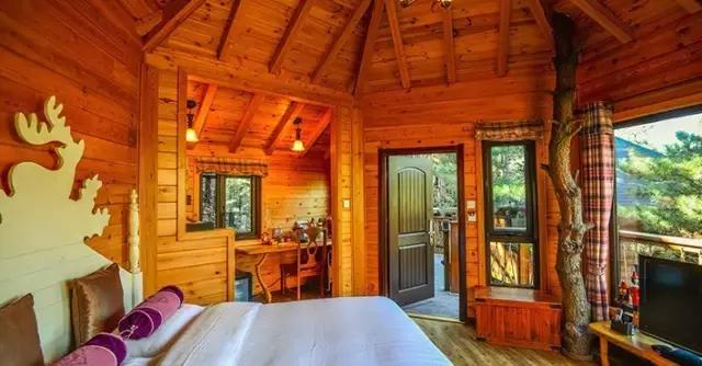 特色树屋民宿度假屋设计方案,很有创意的木屋