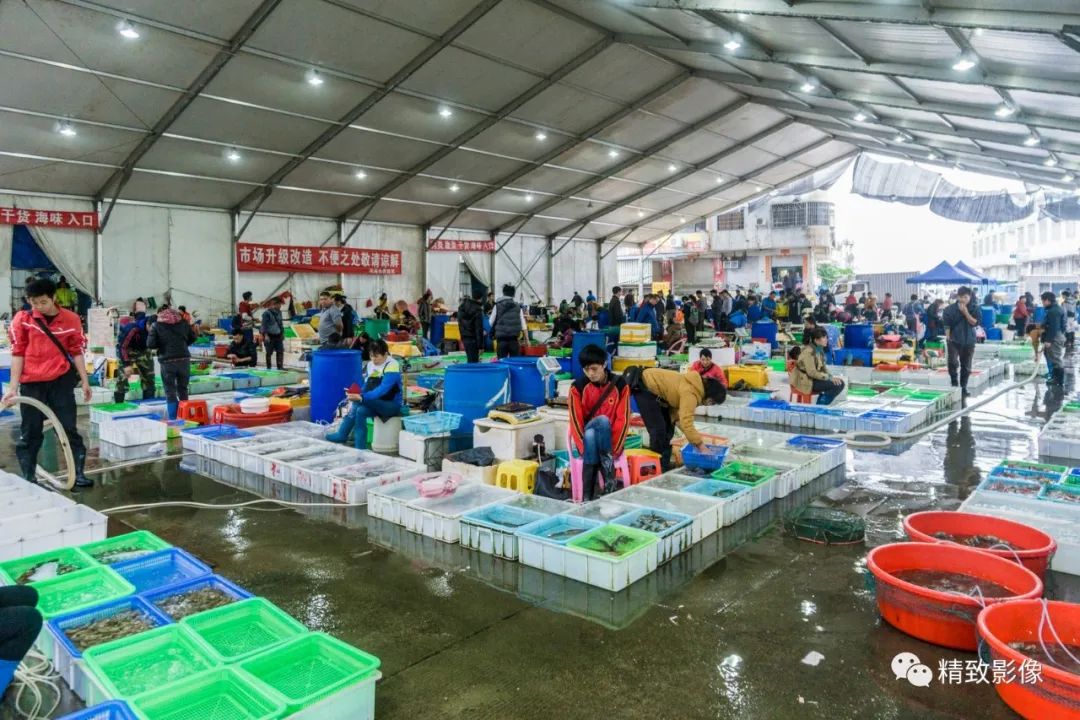 拾光汇影|第六期·珠海斗门白藤湖