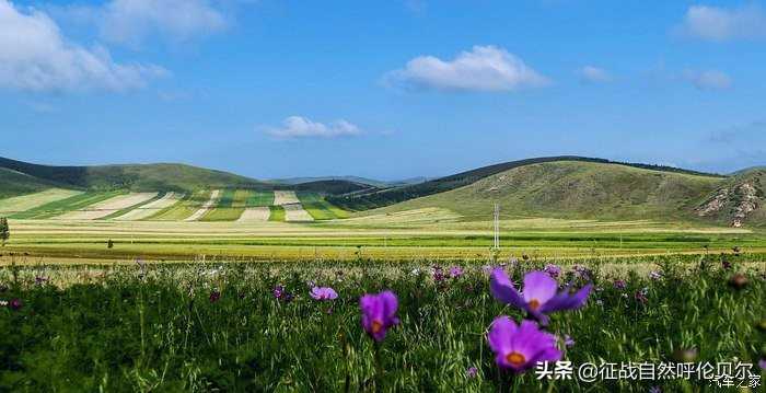 我来到你的城市走过你熟悉的街,我来到你的城市走过你走的路