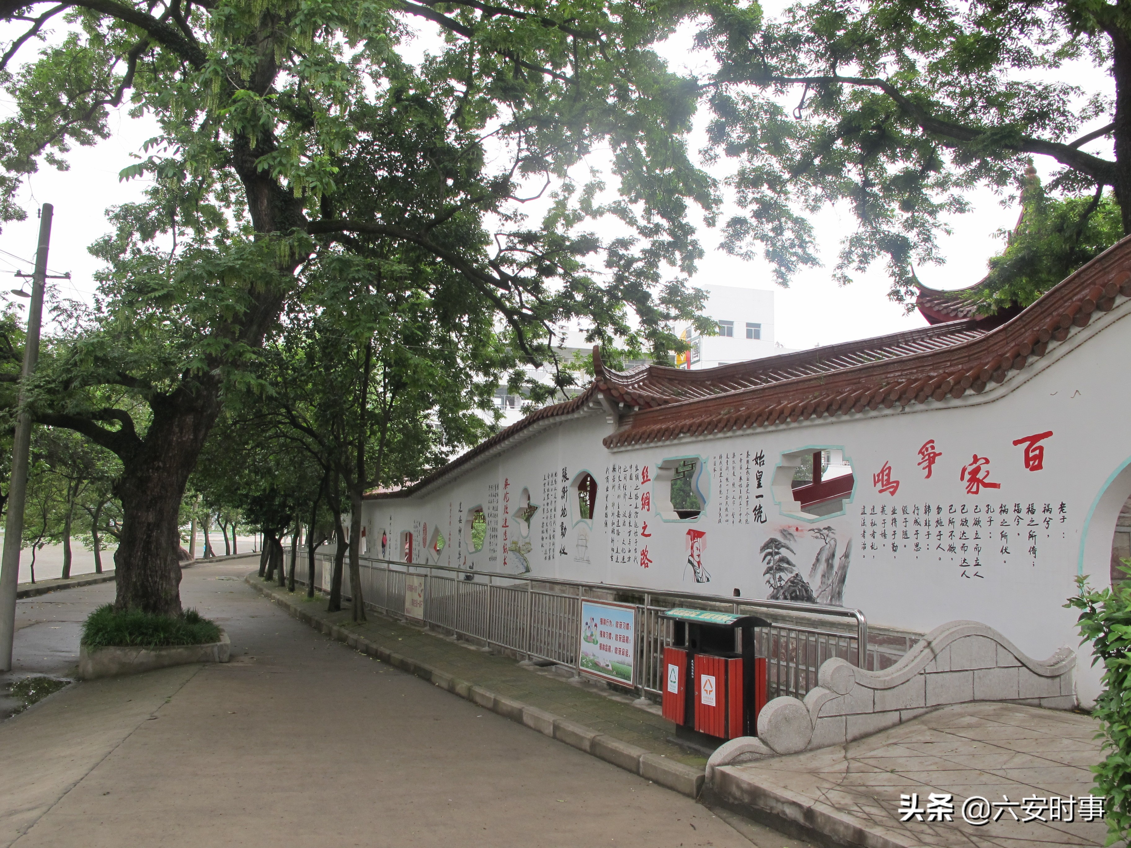 校园枝头春意浓,校园春意浓片段