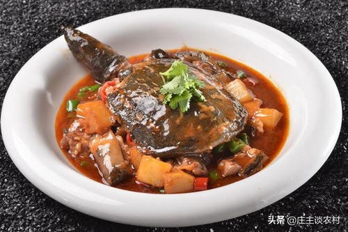 鼠年大吉菜谱大全,鼠年吉祥菜谱100例