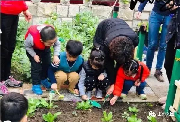 上海民办幼儿园排名一览表,上海宝山民办幼儿园