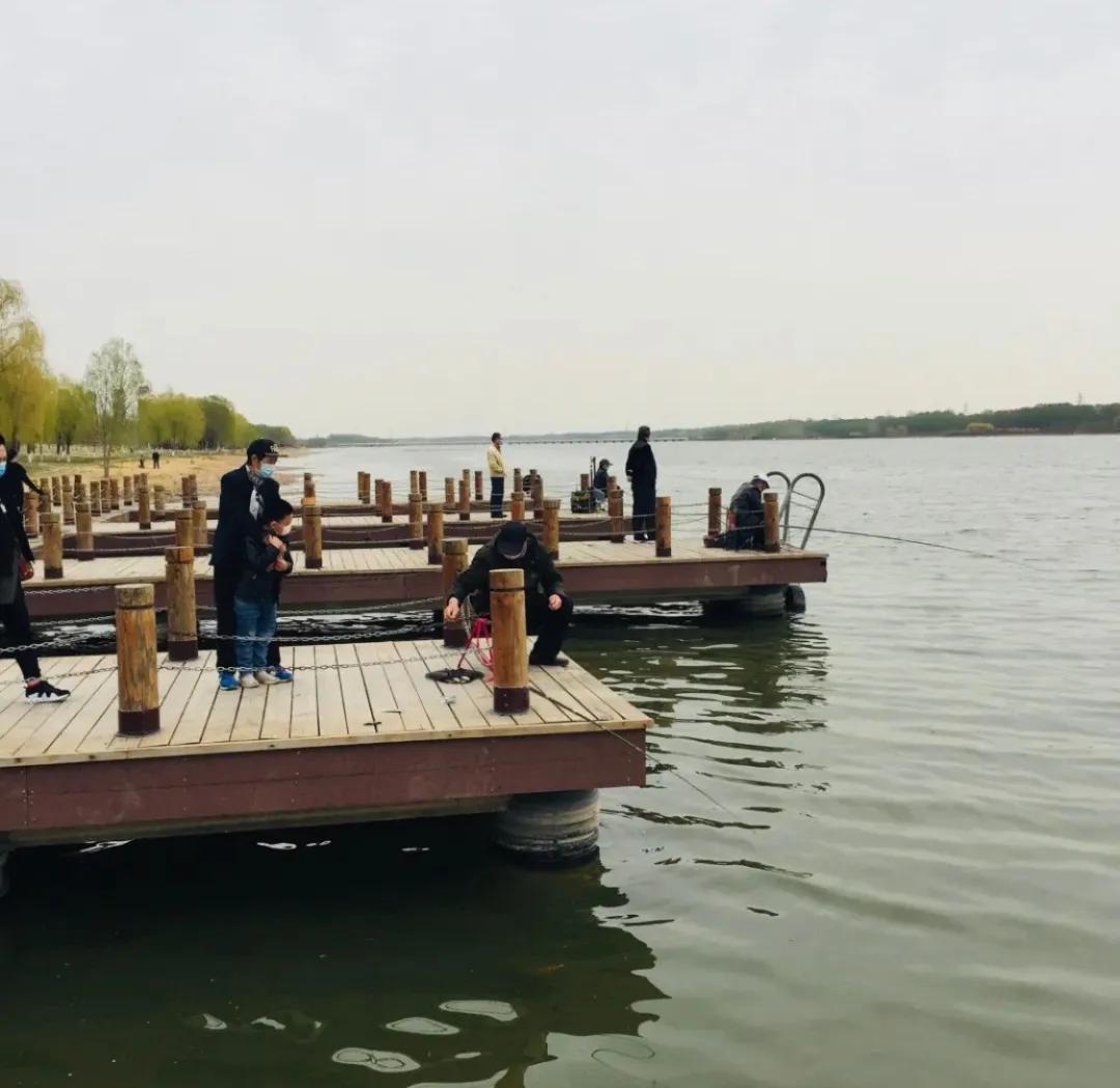 一个不出郑州的踏青好去处,天津春游公园推荐