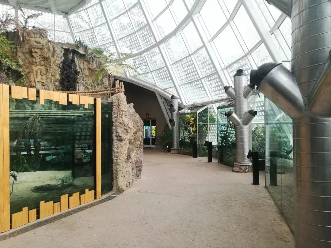 亚特兰大动物园,亚特兰大动物园和华盛顿动物园