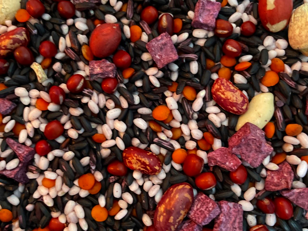 冬季营养早餐粥的100种做法,健脾养胃早餐粥的做法大全