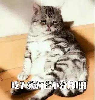 猫咪突然不爱吃猫粮了是怎么回事,猫咪突然不爱吃东西是什么原因