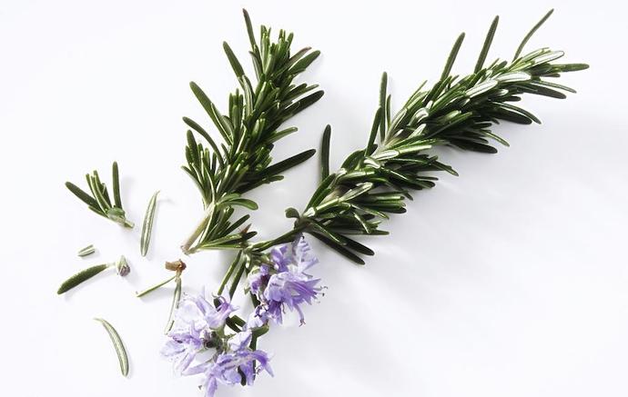 八种身兼多职的鲜花，既是鲜花又是香料！