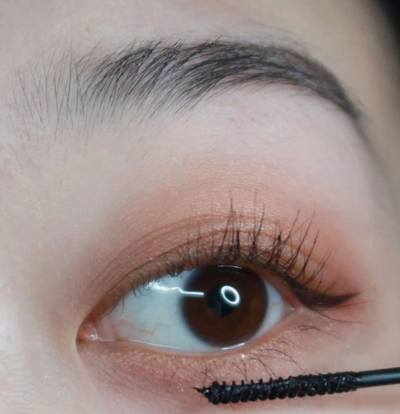 乔欣换脸,乔欣亮晶晶