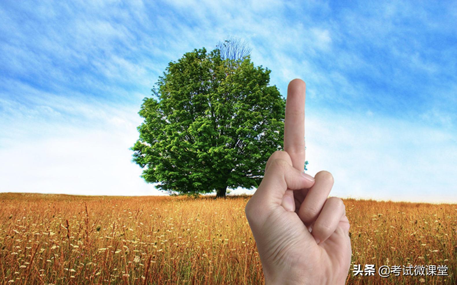 高中数学三角函数定理讲解,三角函数是高中数学最重要的部分