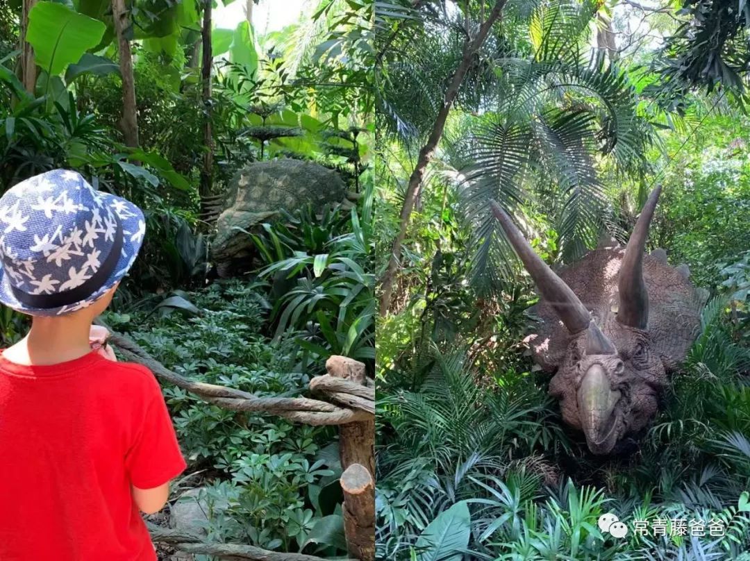 过年去珠海长隆海洋王国游玩攻略,广州长隆欢乐世界带娃一日游攻略