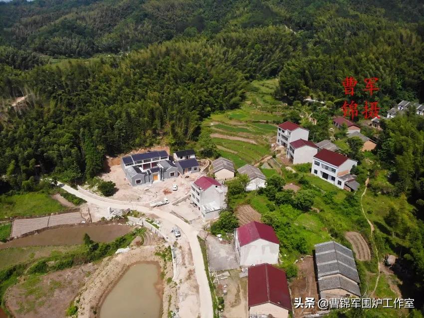 大美黄梅背面,大美黄梅作品