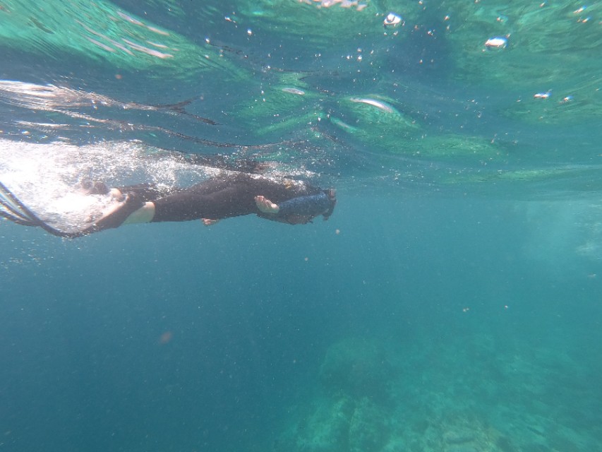 马累市区周边浮潜,马累本岛浮潜