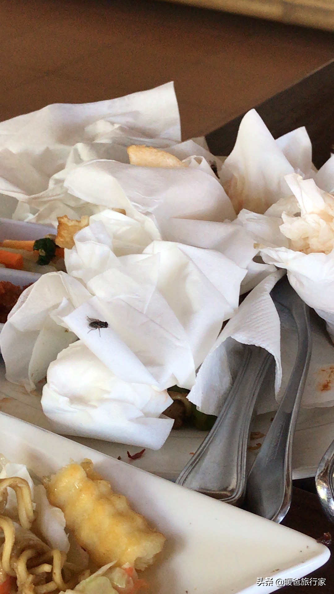 少女心炸裂的粉红沙滩真的很网红,网红打卡被人骗