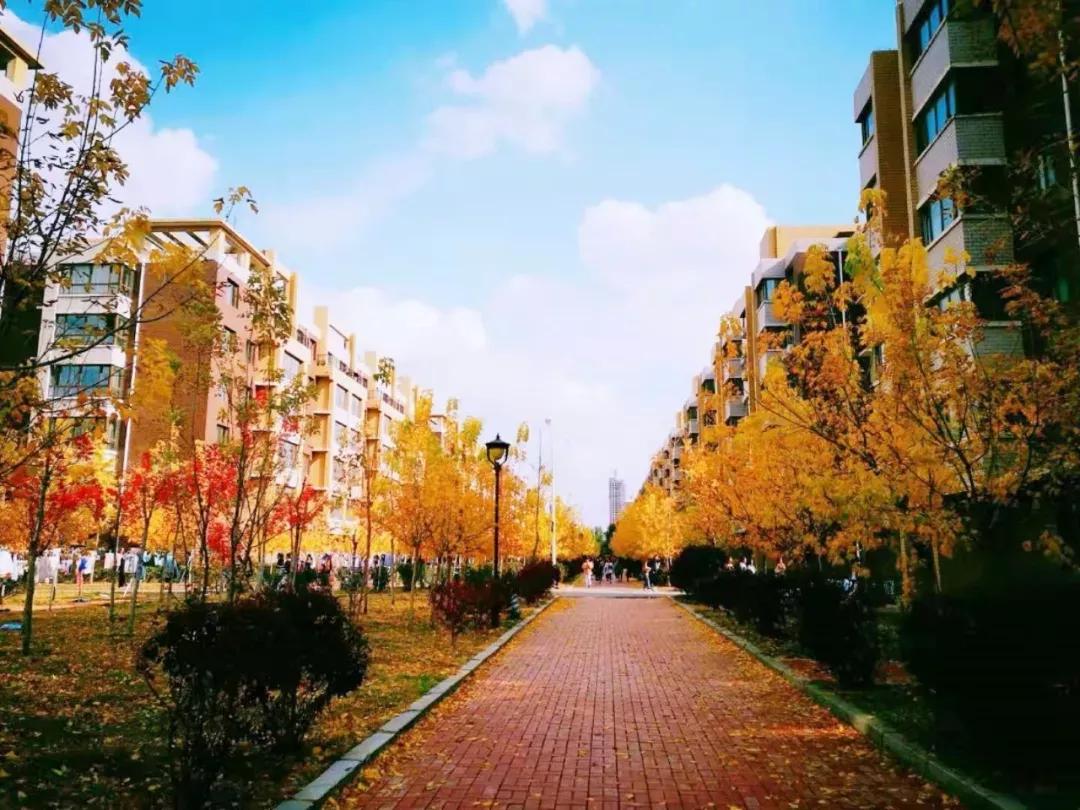 辽宁中医药大学杏林学院独立学院,辽宁中医药大学三个校区