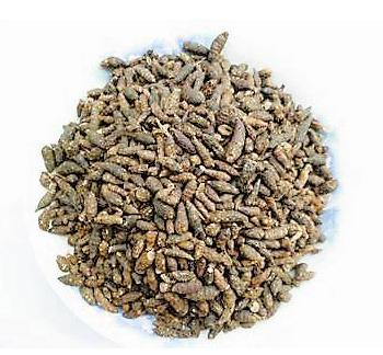 燥湿解表的中药有哪些,滋阴清热利湿中药