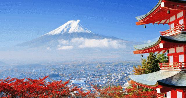 寻找幸运锦鲤活动在哪,寻找锦鲤