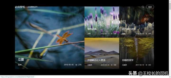 实用（白嫖）网站推荐，不可错过的网站，各个身怀本领