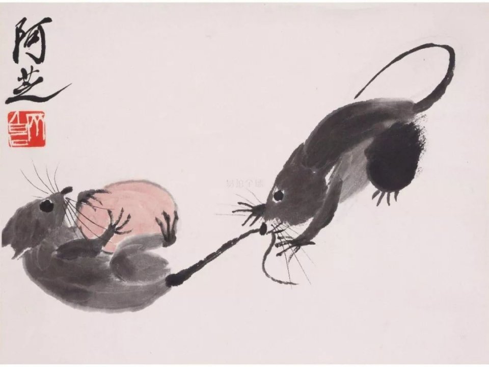 庚子年属鼠的怎么度过,关于庚子鼠年你应该知道的事儿