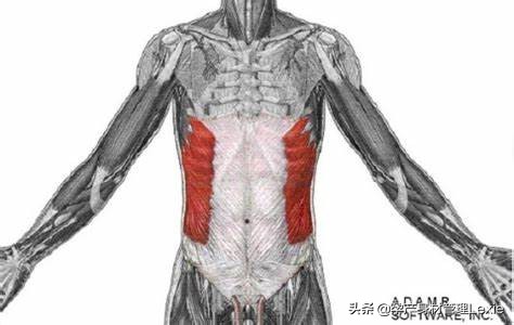 产后妈妈肚子下不去,产后妈妈瘦不下来怎么回事