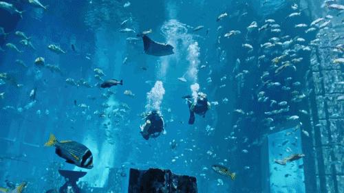 昆明亲子乐园游玩攻略,昆明周边游童话世界亲子乐园