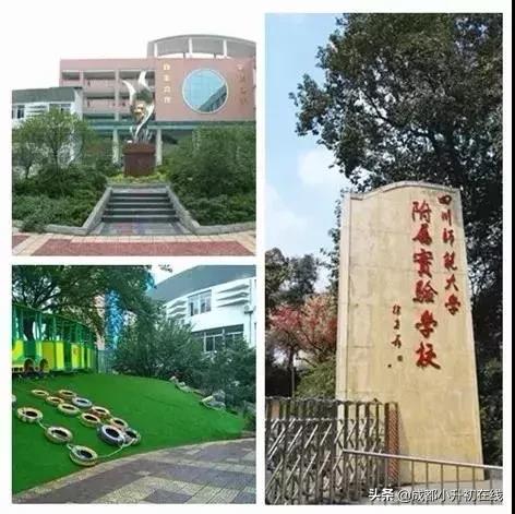 成都天府新区私立小学校一览表,2022成都私立小学招生数量