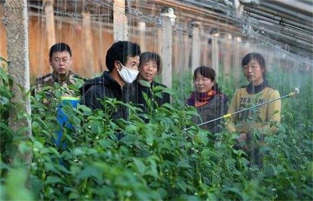农药的正确使用方法有哪些,农药效果不好怎么给农户解释