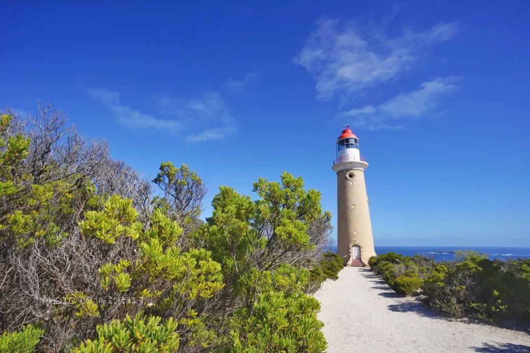 赴澳旅游注意,若带蜂蜜制品上岛,将被判两年监禁或8000澳元罚款
