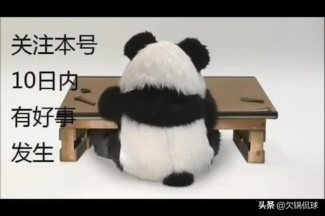 炸开锅!著名足球解说员揭露青训真实情况,球迷纷纷出来作证