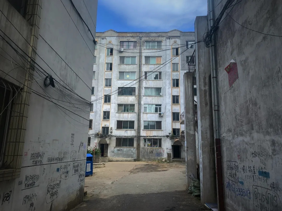 在鹤岗，有人离开，有人留下