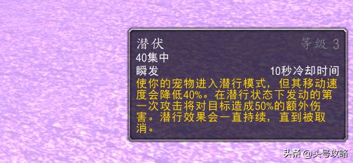 怀旧服满级猎人宠物升级攻略,猎人怀旧服抓宠技巧