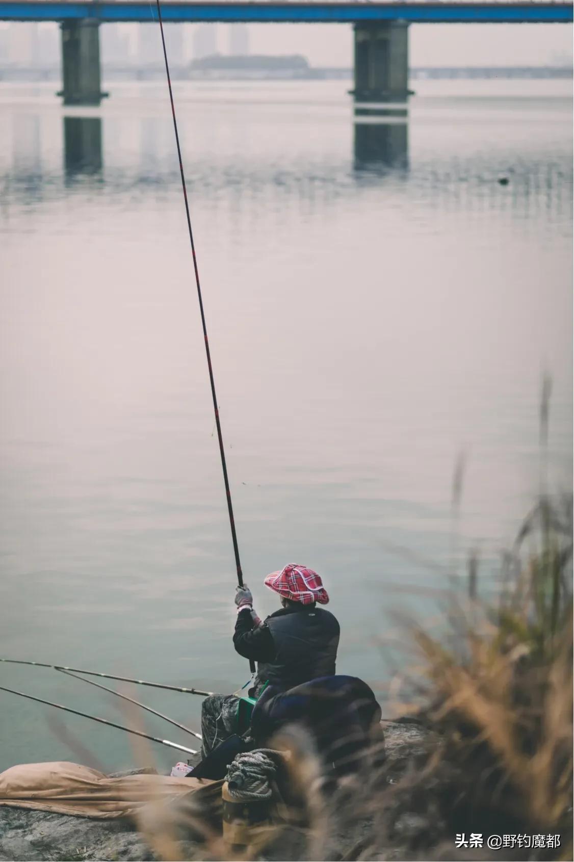 钓竿选购,钓竿选什么品牌