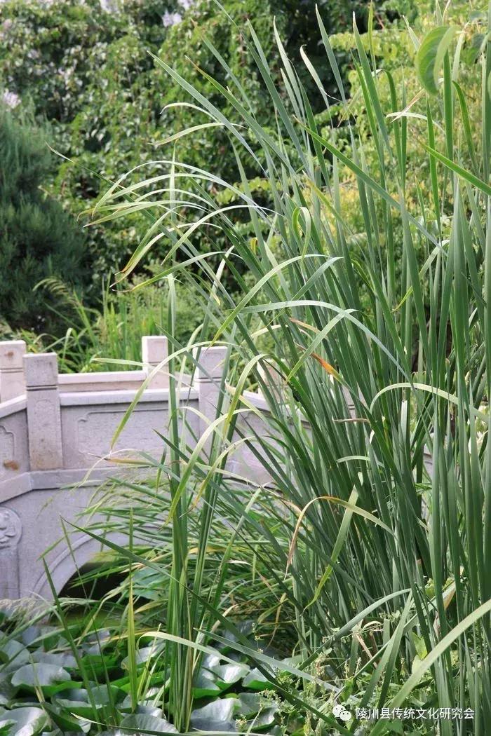 晋城陵川“蒲水”：这里是神仙住的地方