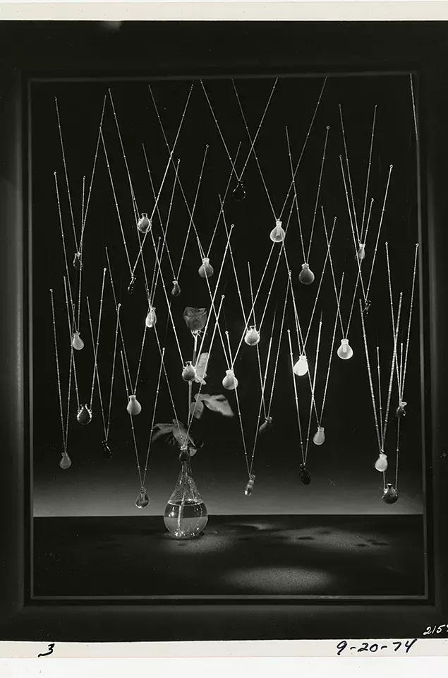 tiffany最美的时光,tiffany的美好时光