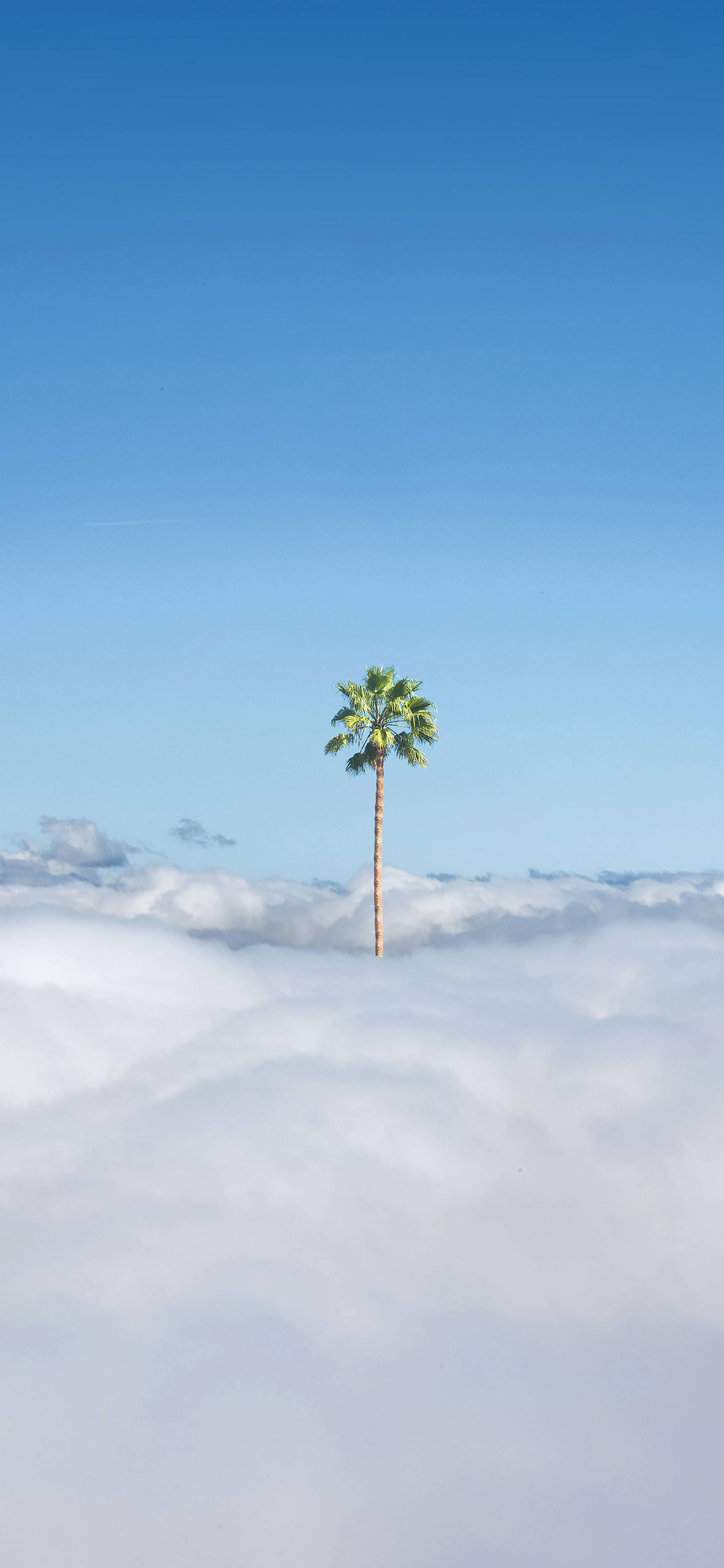 适合当手机壁纸的好看的风景照,精选10张好看的风景手机壁纸