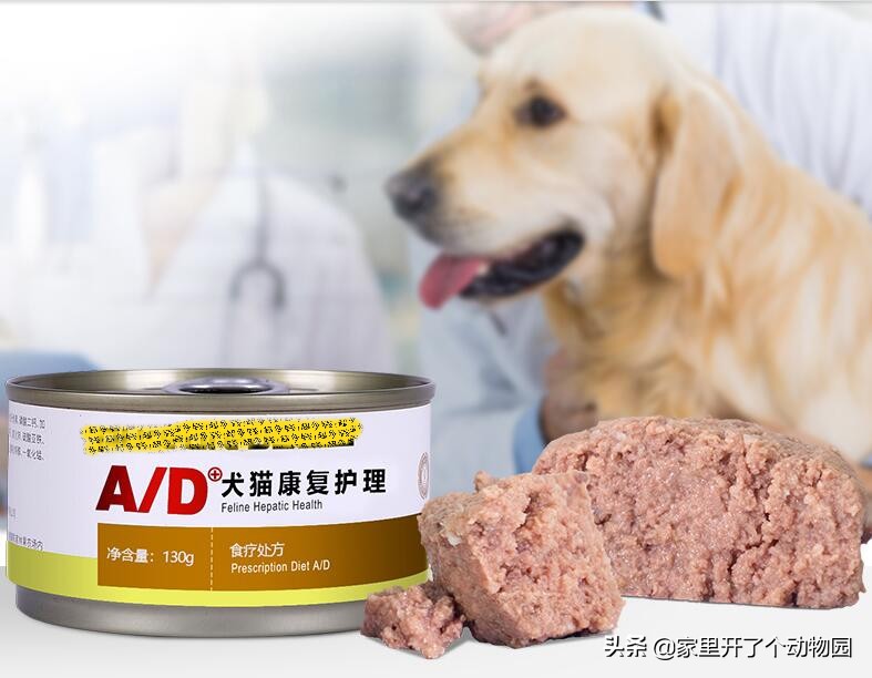 猫咪产后猫粮,猫咪猫粮怎么混合喂养