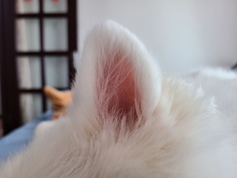 三星galaxynote20ultra5g测评,三星galaxys20+5g参数