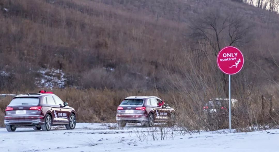 奥迪车冬季表现,奥迪车子省油性能好又实用