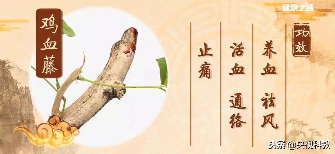 通经络的植物有哪些,绿植哪些有药用价值