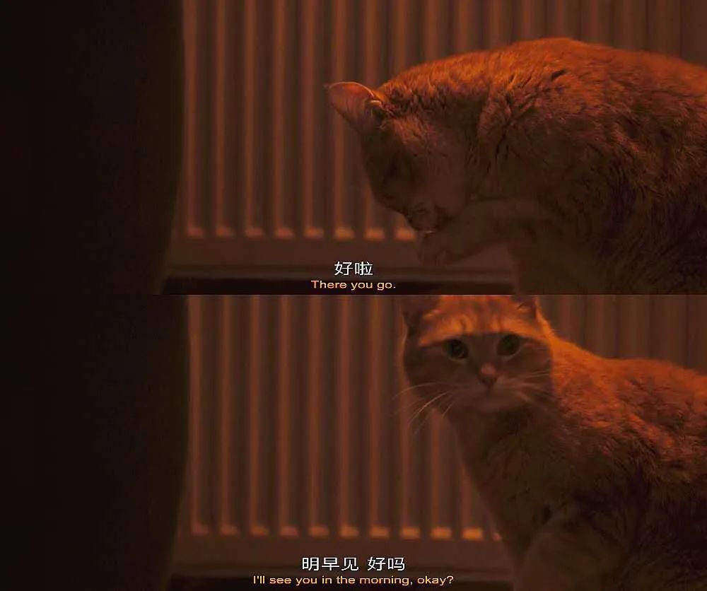 让熬夜不再有伤害,熬夜是为了片刻自由