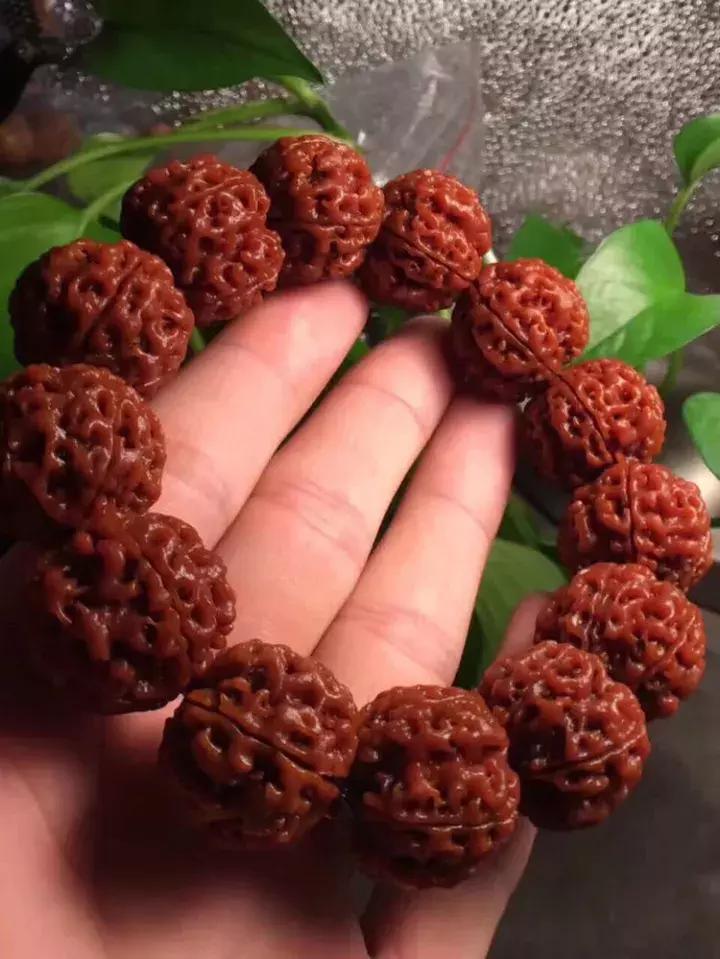 金刚菩提子手串知识大全,讲解金刚菩提的书籍