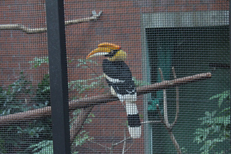 石屎森林中的一块翡翠——香港公园