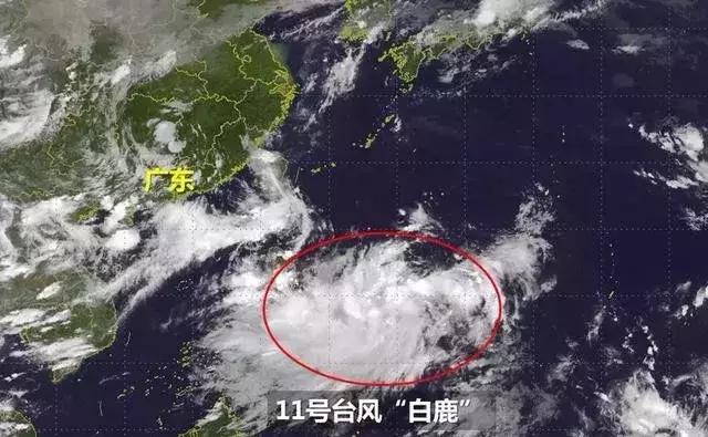 台风白鹿来深圳了吗,台风白鹿什么时候登陆深圳