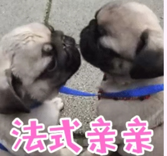 怎么撒狗粮让对方更爱你,怎么和女朋友撒狗粮