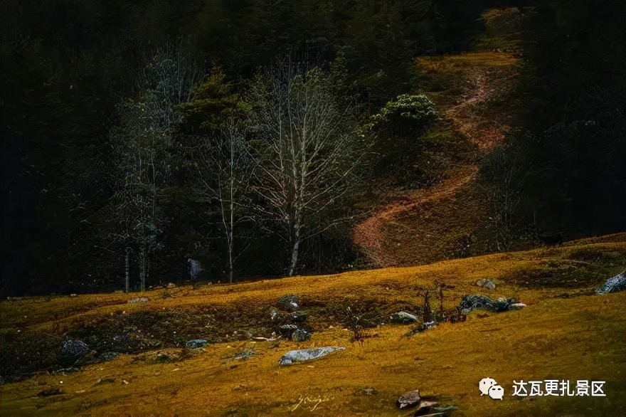 「达瓦更扎、神木垒」桃李花开感谢恩师，老师专属福利速领取