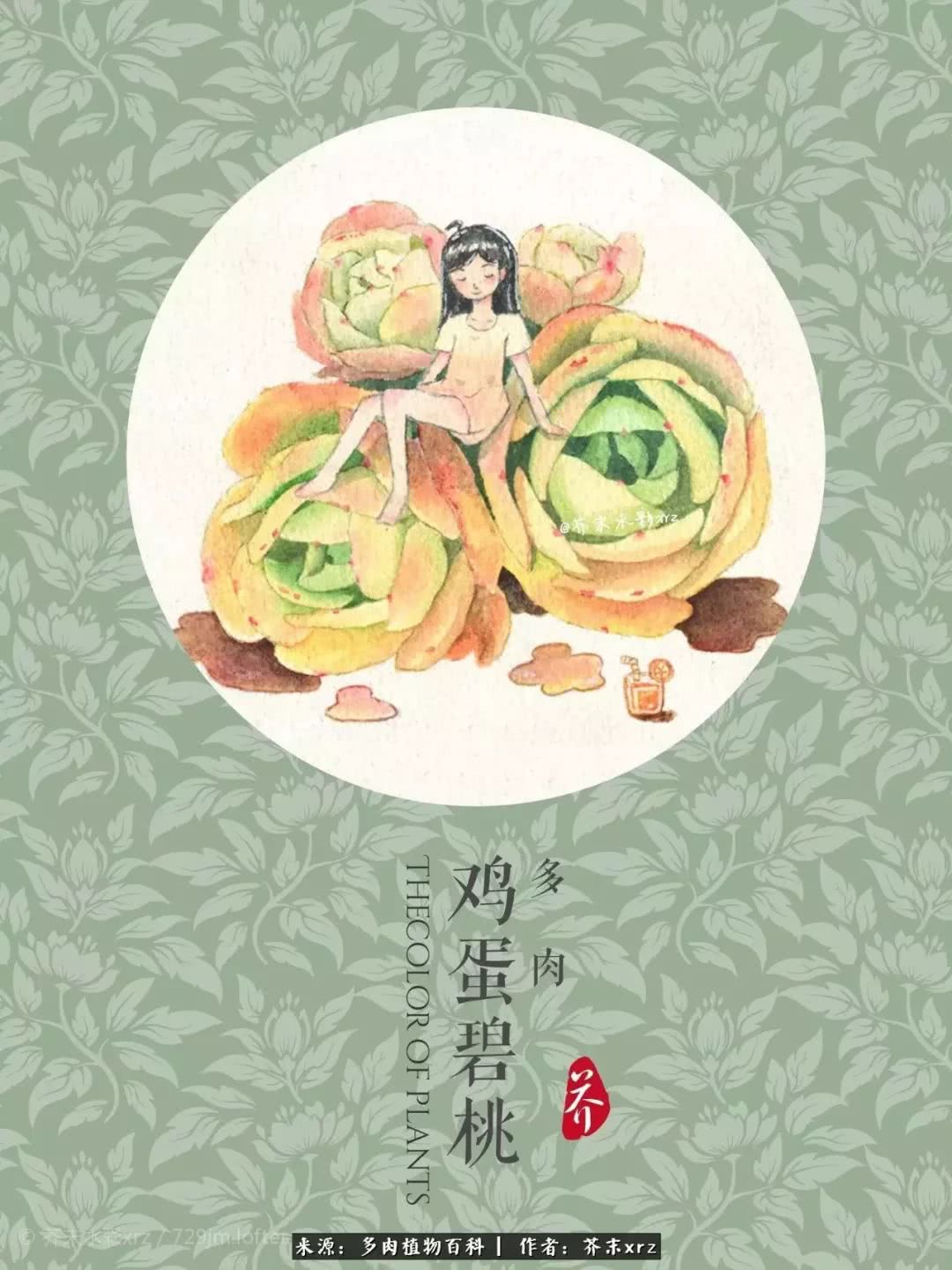 那个爱画多肉的小姑娘带着她的心头肉又来啦!