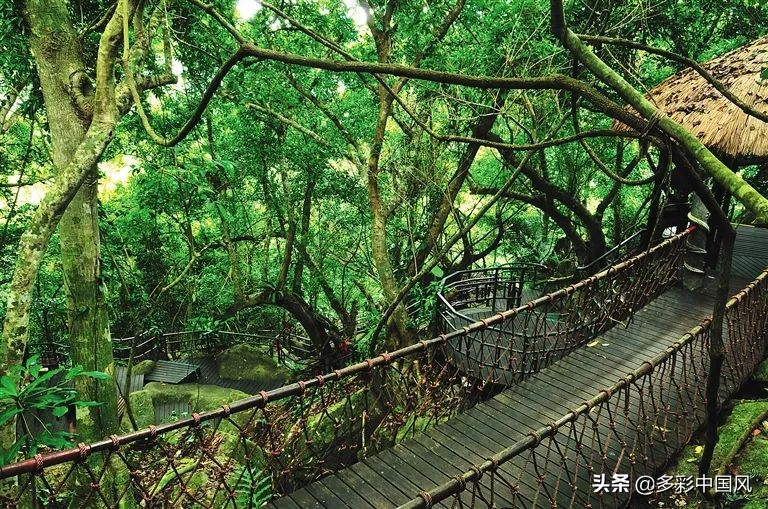 海南天然氧吧舒适景点,海南岛热带天然森林
