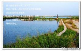 广东三天两夜海边攻略,广东斗门旅游攻略