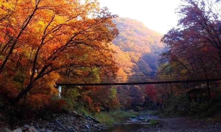 沈阳游玩景点攻略,沈阳游玩景点推荐泡温泉