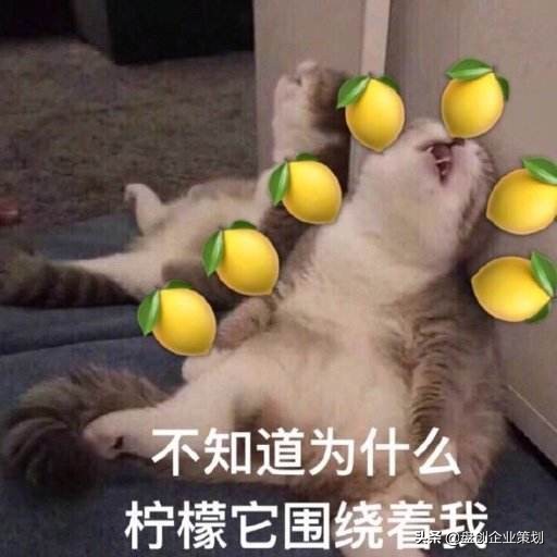 无人驾驶磁悬浮3.0,外国人评论中国600公里磁悬浮开通